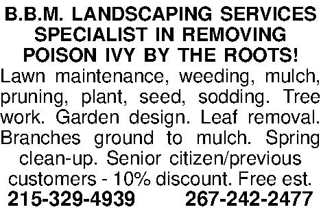 B.B.M. LANDSCAPING SERVICES SPECIALIST IN  B.B.M. LANDSCAPING SERVICES SPECIALIST IN REMOVING POISON IVY BY THE ROOTS! Lawn maintenance, weeding, mulch, pruning, plant, seed, sodding. Tree work. Garden design. Leaf removal. Branches ground to mulch. Spring clean-up. Senior citizen/previous  customers - 10% discount. Free est.  215-329-4939 267-242-2477 